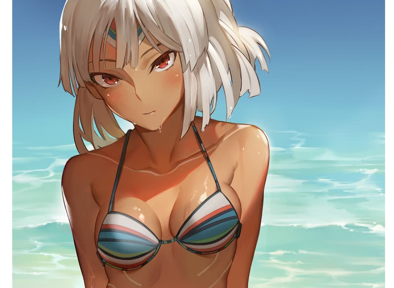 二次元泳装杂图壁纸10.23(2期)